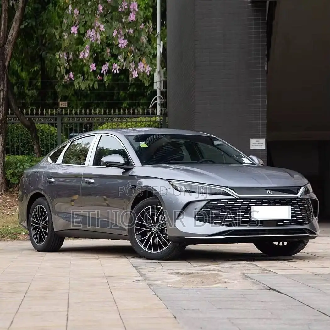 New BYD Qin Plus DM-i 2025 Gray