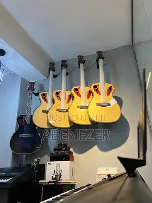 Smiger Semi Acoustic Guitar