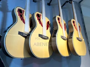 Smiger Semi Acoustic Guitar
