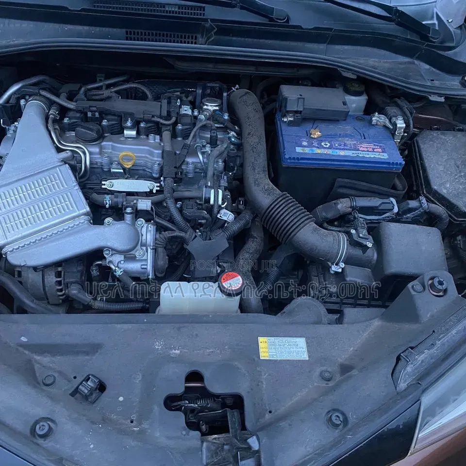 Toyota C-HR 2017 Pink