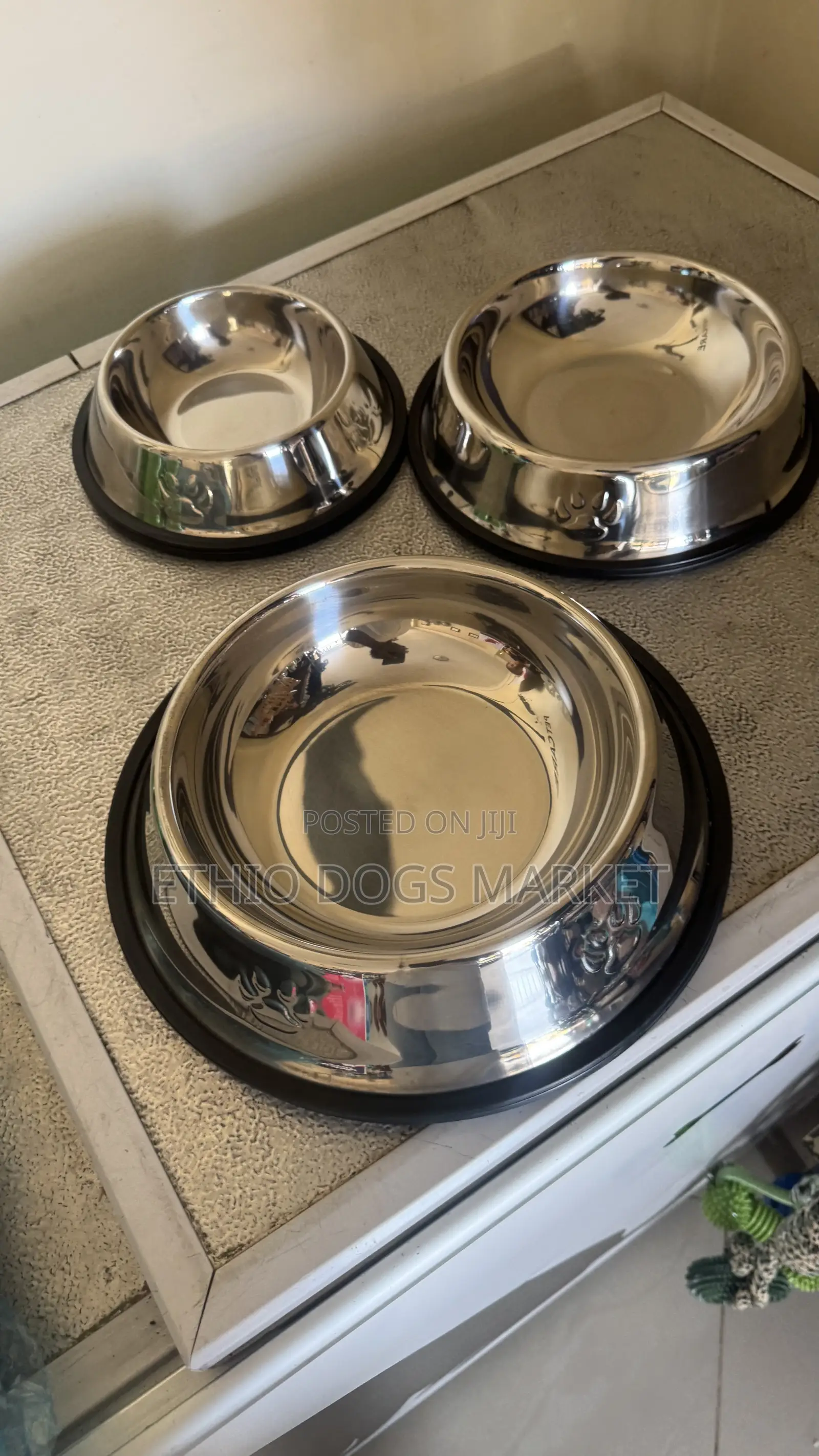Stainless Steel Pet Bowls