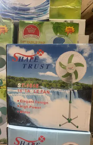 Shape Trust Standing Fan – 16” | Powerful Stable Cooling