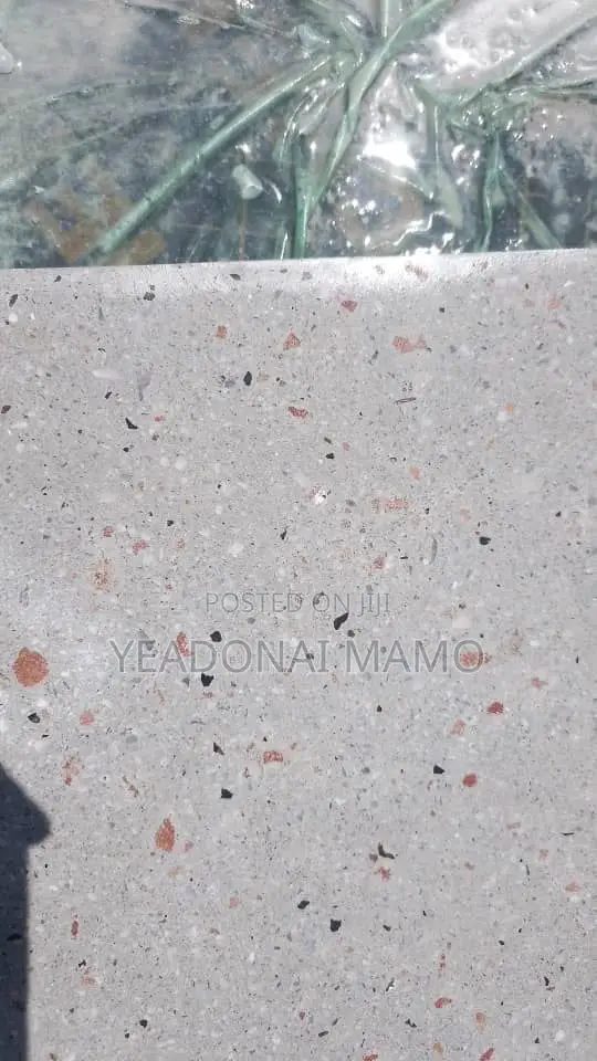 Tile/Terrazzo