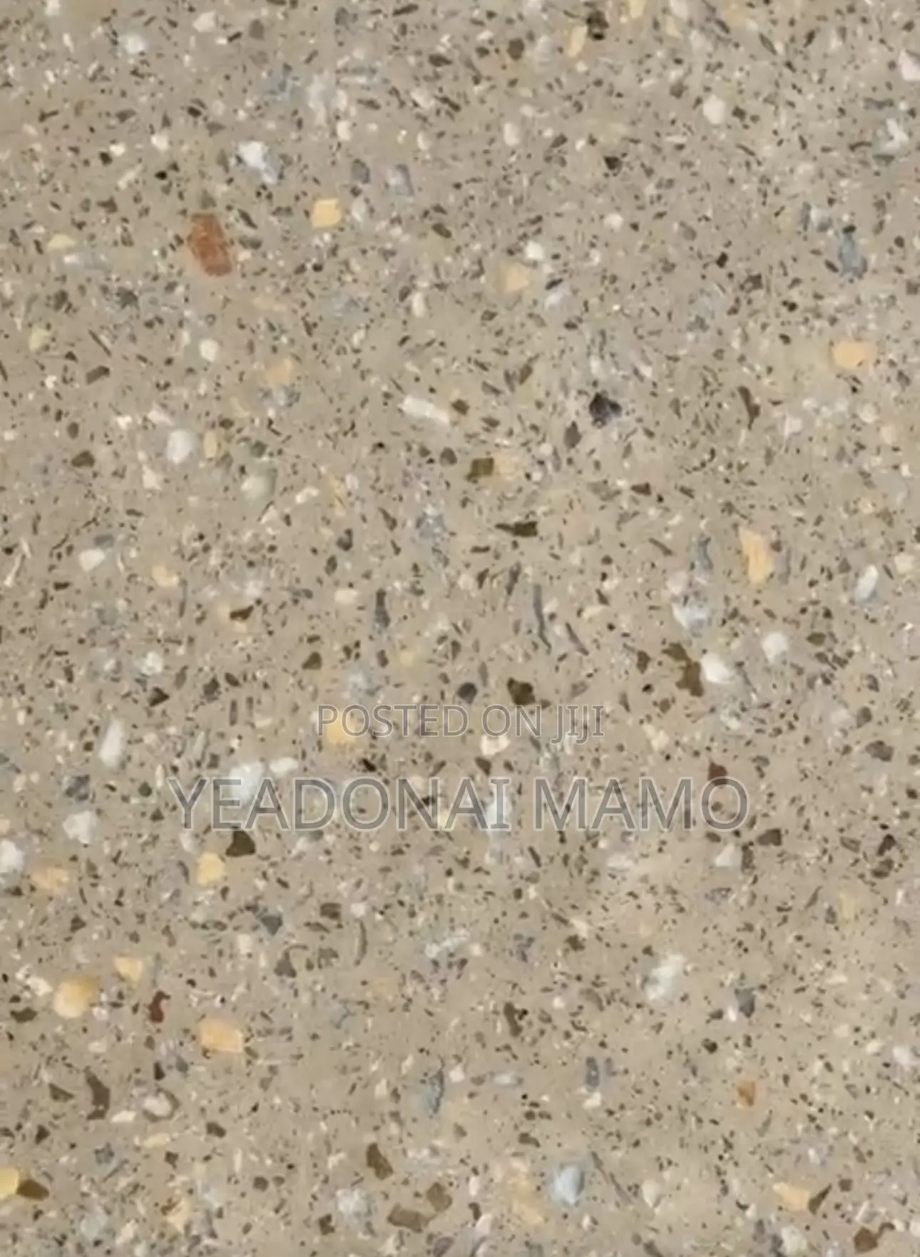 Tile/Terrazzo