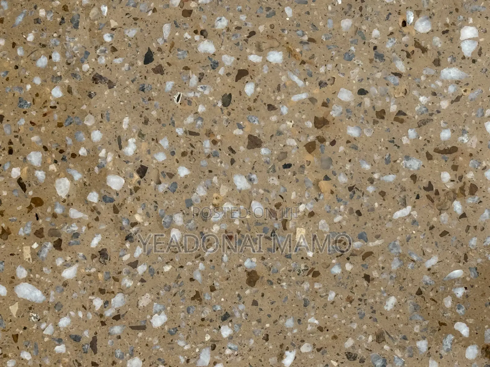 Tile/Terrazzo