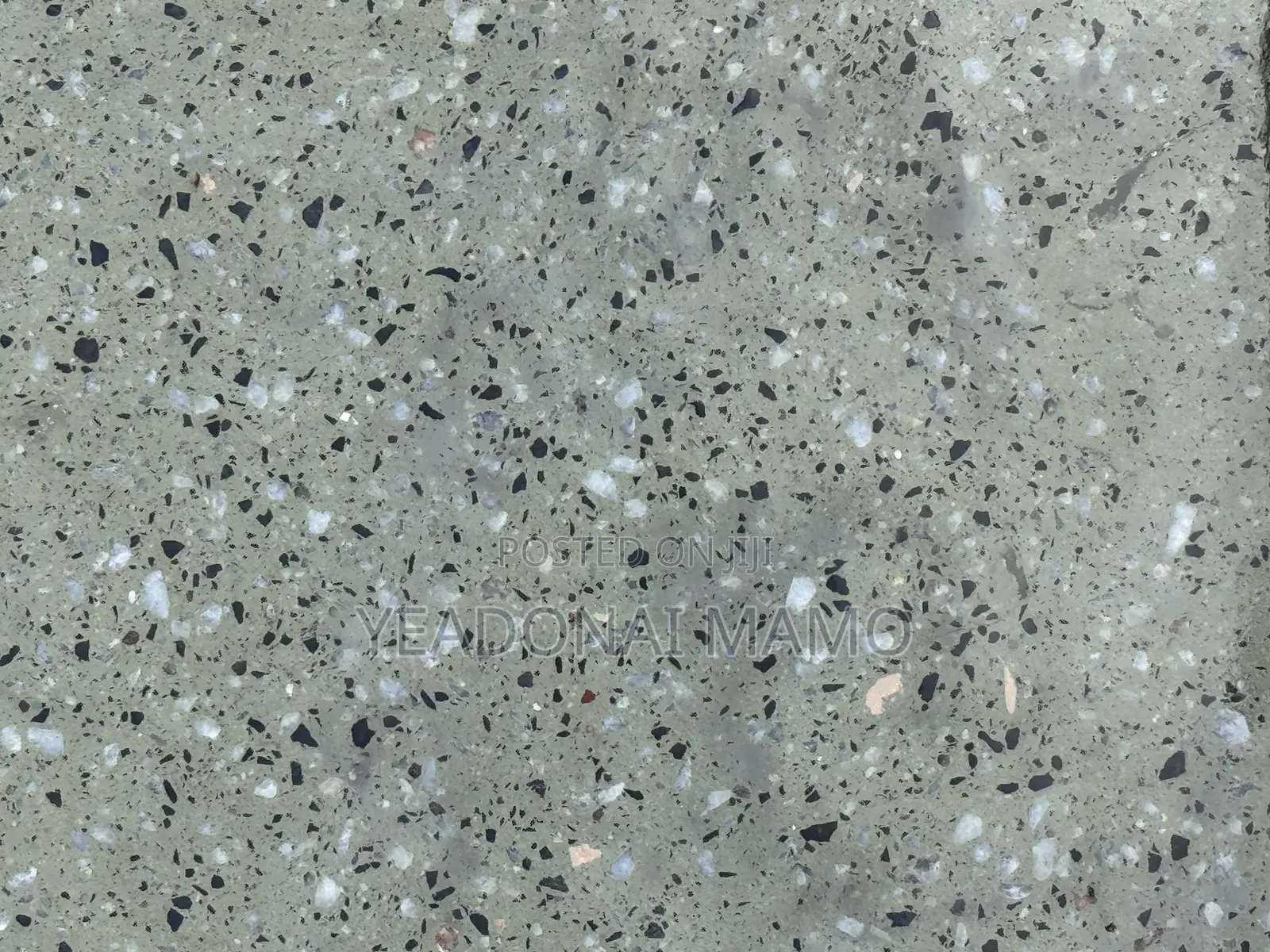 Tile/Terrazzo