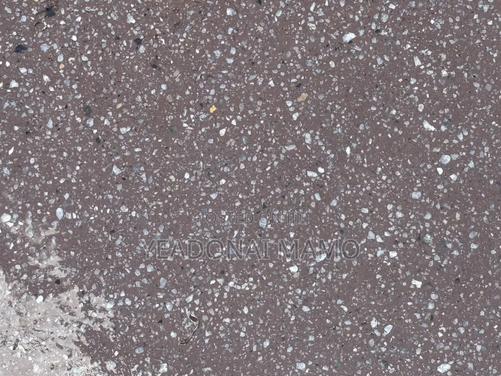 Tile/Terrazzo
