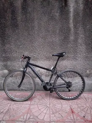 Bicycle 26