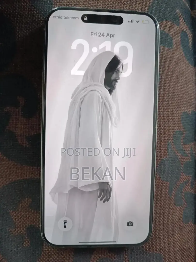 Apple iPhone 15 Pro Max 256 GB Silver