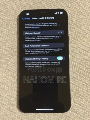 Apple iPhone 12 Pro Max 256 GB Blue