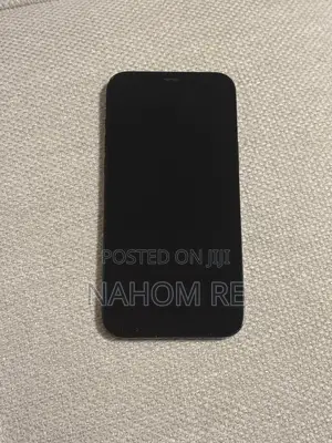 Apple iPhone 12 Pro Max 256 GB Blue