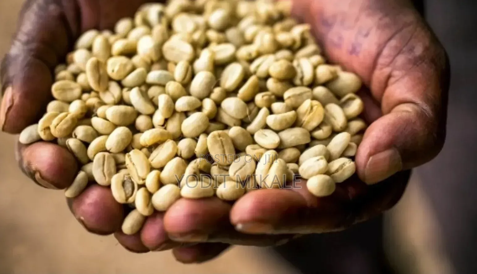 Coffee Production