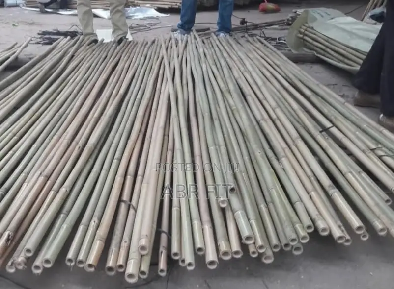 Bamboo Bamboo