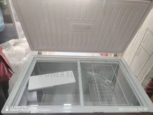 Everest 430l Deep Freezer
