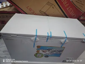Everest 500l Deep Freezer