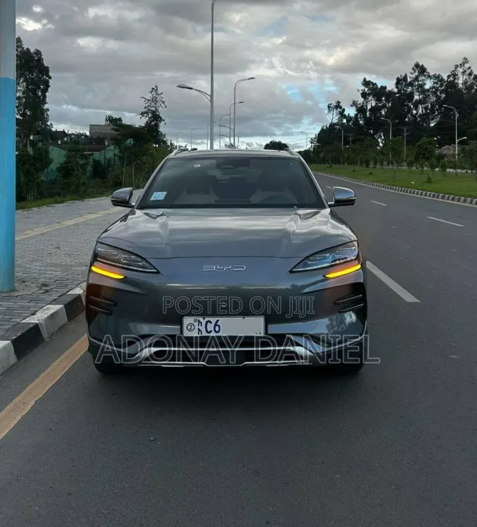 BYD Song Plus EV FWD 2024 Gray