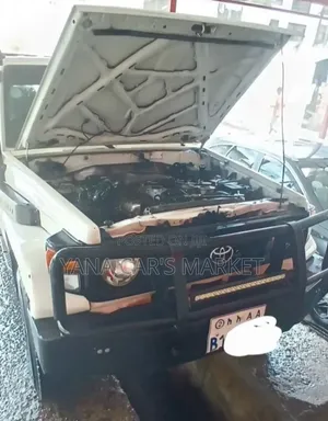 Toyota Land Cruiser 2005 White