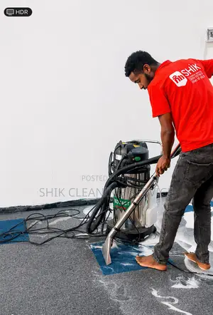 Professional Carpet Cleaning