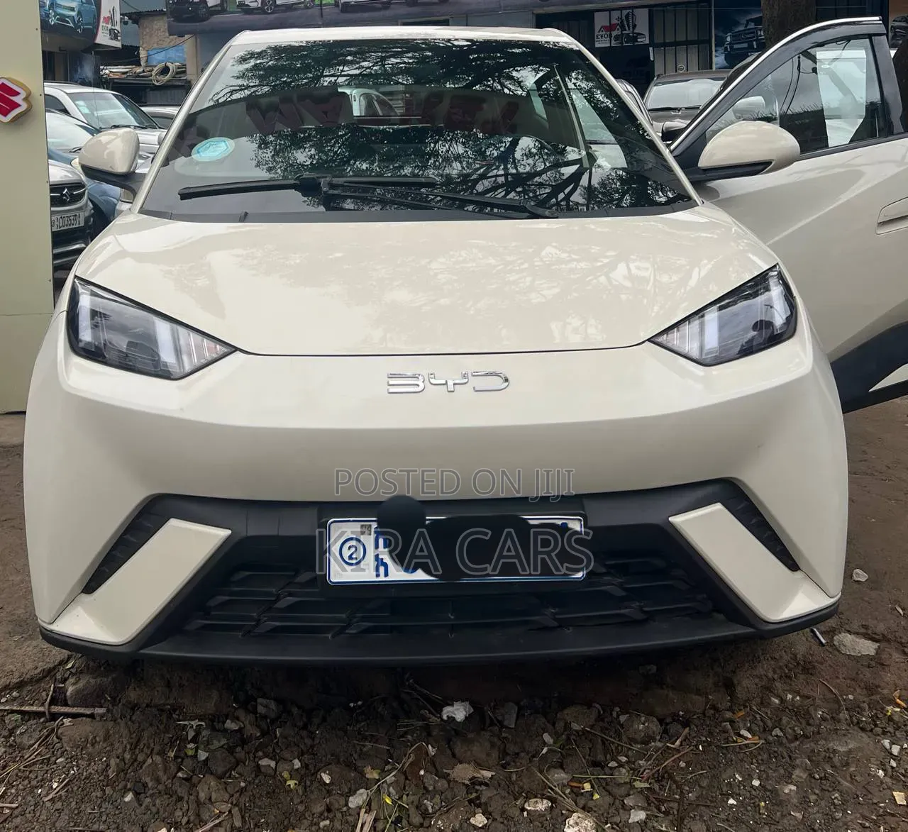 BYD Seagull 2025 White