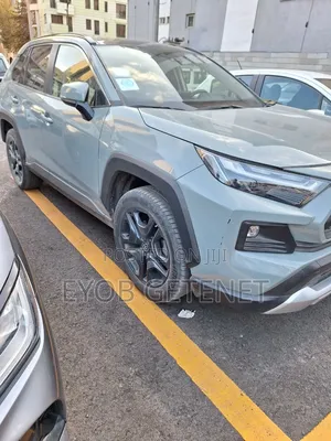 Toyota RAV4 2021 Blue
