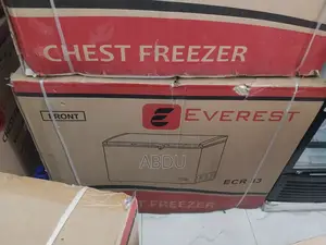 ዲፕ ፍርጆይ በቅናሽ