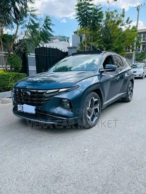 Hyundai Tucson Limited 2021 Blue