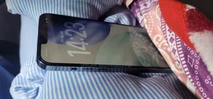 Apple iPhone 13 Pro Max 1 TB Gray