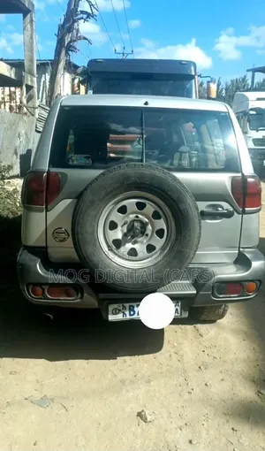 Nissan Terrano 2004 Silver