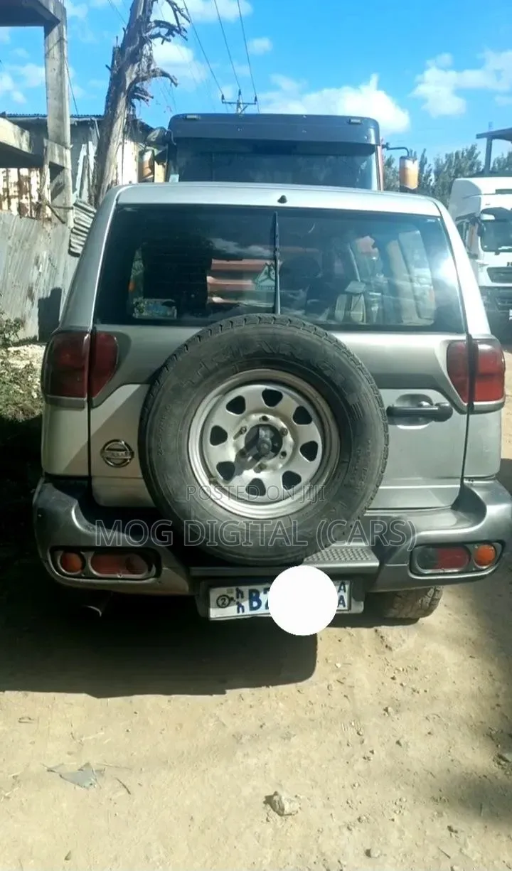 Nissan Terrano 2004 Silver