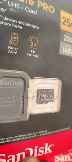 Sandisk Imagemate Pro 256gb