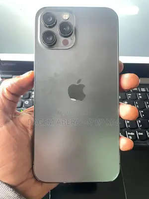 Apple iPhone 12 Pro Max 256 GB Gray