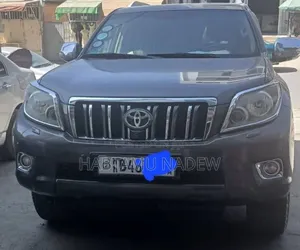 Toyota Land Cruiser 2010 Silver