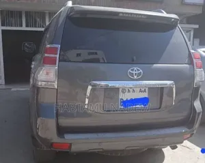 Toyota Land Cruiser 2010 Silver