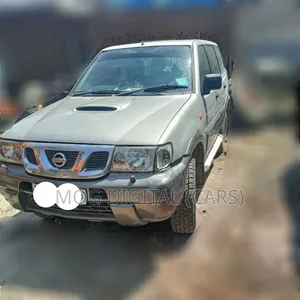 Nissan Terrano 2004 Silver