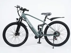 Pigeon Ebike