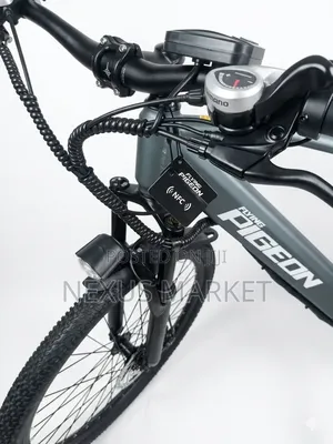 Pigeon Ebike