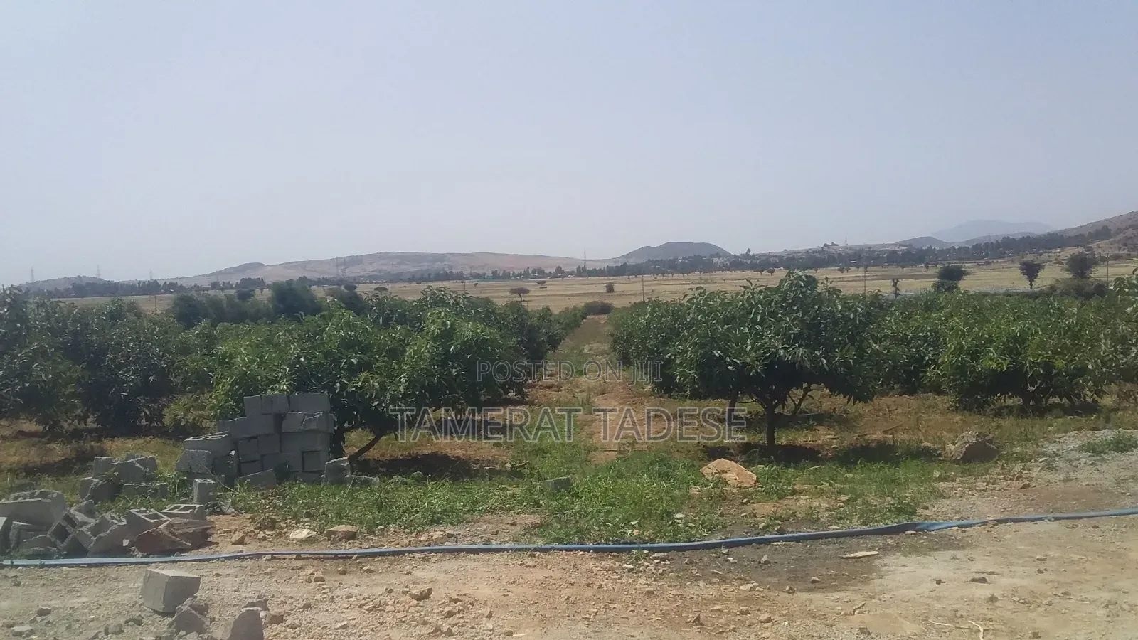 Urba Agriculture