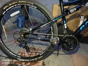 Bicycle Switchback Ds Model 2026