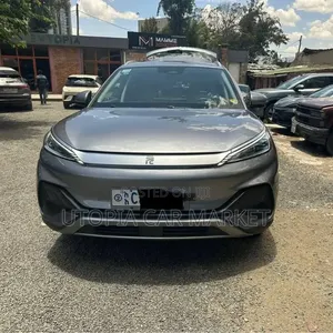 BYD Yuan Plus 2023 Gray