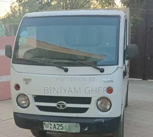 Tata Ace 2014 White