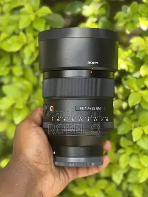 Sony 85mm F1.4 G Master For Protrait
