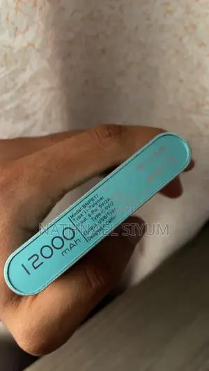 Power Bank