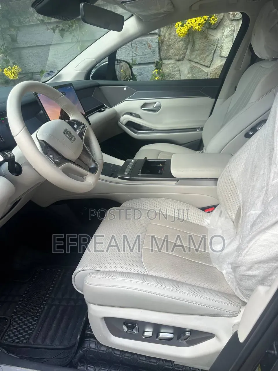 New BYD Tang EV 2025 Green