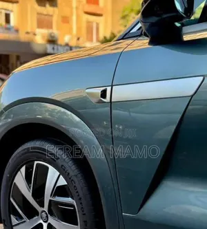 New BYD Tang EV 2025 Green
