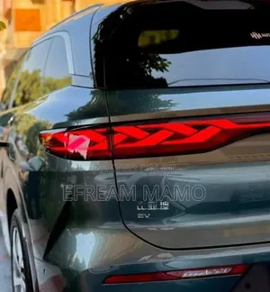 New BYD Tang EV 2025 Green