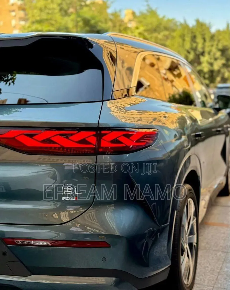 New BYD Tang EV 2025 Green