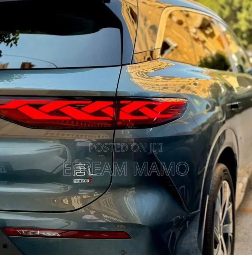New BYD Tang EV 2025 Green