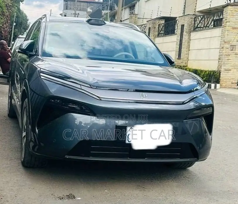 BYD Tang EV 2025 Gray