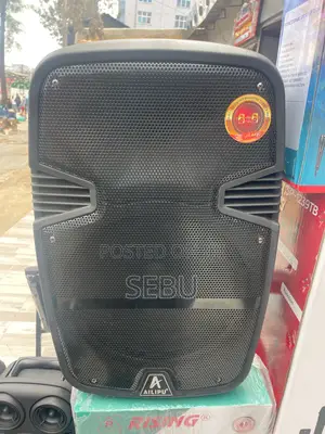 Speaker 12 Inch