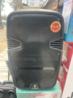 Speaker 12 Inch